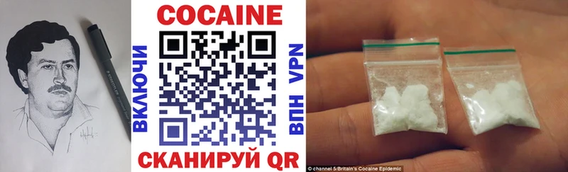 Cocaine FishScale  мориарти официальный сайт  Кондопога 