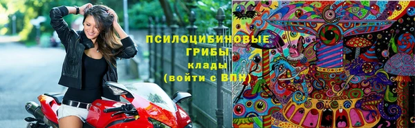 гидропоника Белокуриха