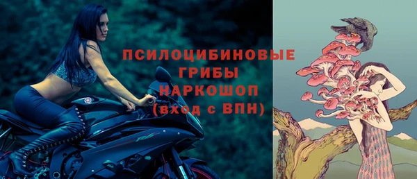 герыч Мегион