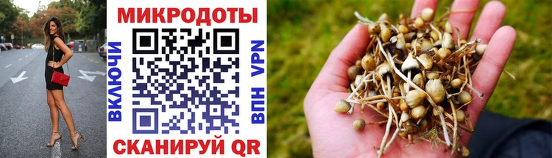 Галлюциногенные грибы мухоморы Кондопога